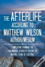 The Afterlife According To Matthew Wilson Author/Medium