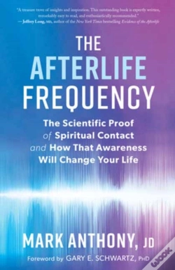 Capa do artigo The Afterlife Frequency
