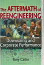 The Aftermath Of Reengineering - Preview