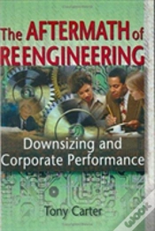 Capa do artigo The Aftermath Of Reengineering