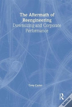 Capa do artigo The Aftermath Of Reengineering