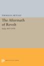 The Aftermath Of Revolt - Preview