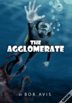 Capa do artigo The Agglomerate