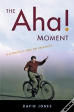 Capa do artigo The Aha! Moment