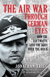Capa do artigo The Air War Through German Eyes