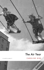 Capa do artigo The Air Year