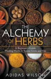 Capa do artigo The Alchemy Of Herbs - A Beginner