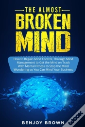 Capa do artigo The Almost Broken Mind