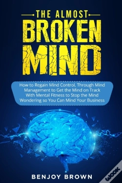 Capa do artigo The Almost Broken Mind