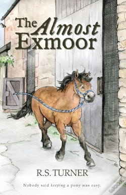 Capa do artigo The Almost Exmoor