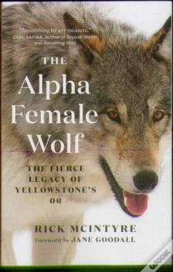 Capa do artigo The Alpha Female Wolf