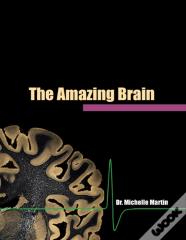 The Amazing Brain