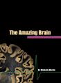 The Amazing Brain - Preview
