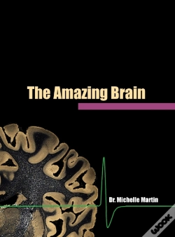 Capa do artigo The Amazing Brain