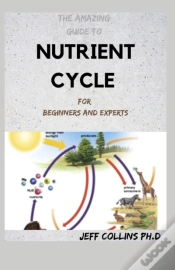 Capa do artigo The Amazing Guide To Nutrient Cycle For Beginners And Experts