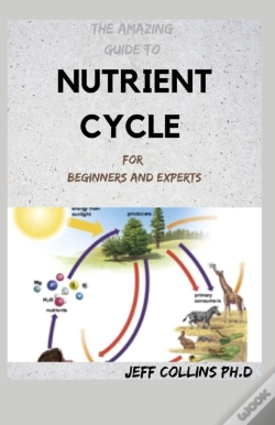 Capa do artigo The Amazing Guide To Nutrient Cycle For Beginners And Experts