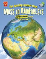 The Amazing Journey From Moss To Rainforests