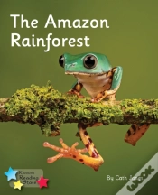 Capa do artigo The Amazon Rainforest