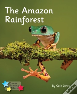 Capa do artigo The Amazon Rainforest