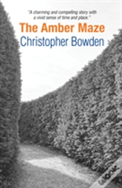 Capa do artigo The Amber Maze