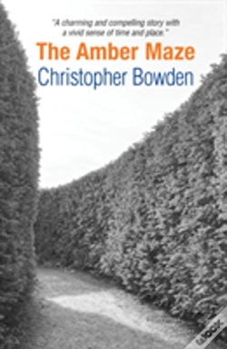 Capa do artigo The Amber Maze