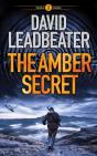 The Amber Secret - Preview