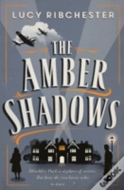 Capa do artigo The Amber Shadows