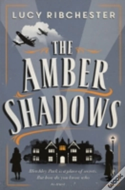 Capa do artigo The Amber Shadows