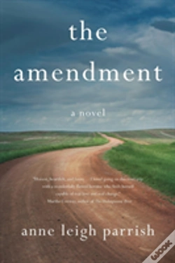 Capa do artigo The Amendment