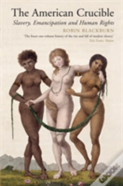 Capa do artigo The American Crucible
