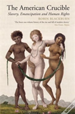 Capa do artigo The American Crucible