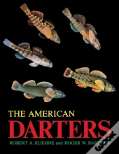 The American Darters