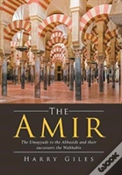 Capa do artigo The Amir
