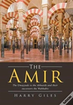 Capa do artigo The Amir