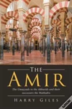Capa do artigo The Amir