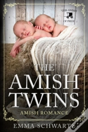 Capa do artigo The Amish Twins