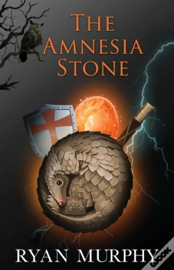 Capa do artigo The Amnesia Stone