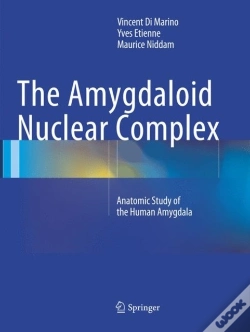 Capa do artigo The Amygdaloid Nuclear Complex