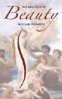 The Analysis Of Beauty - Preview