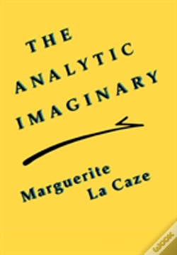 Capa do artigo The Analytic Imaginary