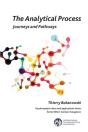 The Analytical Process - Preview