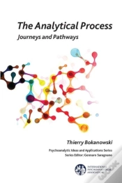 Capa do artigo The Analytical Process
