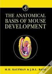 The Anatomical Basis Of Mouse Development