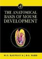 The Anatomical Basis Of Mouse Development - Preview