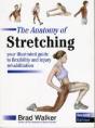 The Anatomy Of Stretching - Preview