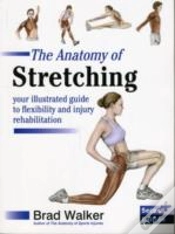 Capa do artigo The Anatomy Of Stretching