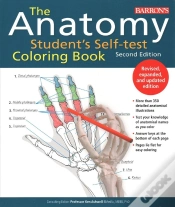 Capa do artigo The Anatomy Student