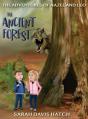 The Ancient Forest - Preview