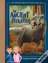 The Ancient Redwoods