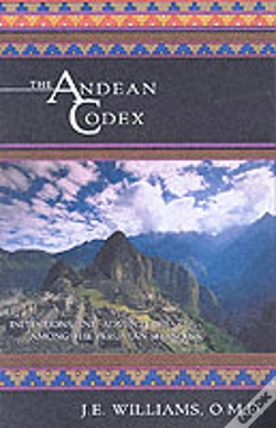 Capa do artigo The Andean Codex